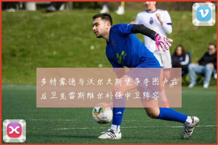 多特蒙德与沃尔夫斯堡争夺图卢兹后卫克雷斯维尔补强中卫阵容