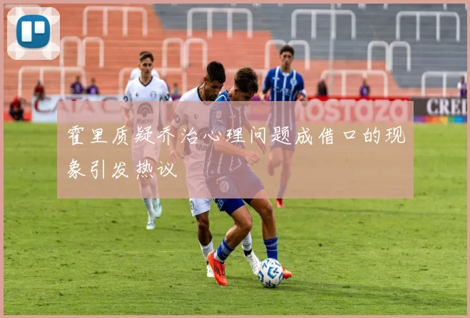 霍里质疑乔治心理问题成借口的现象引发热议