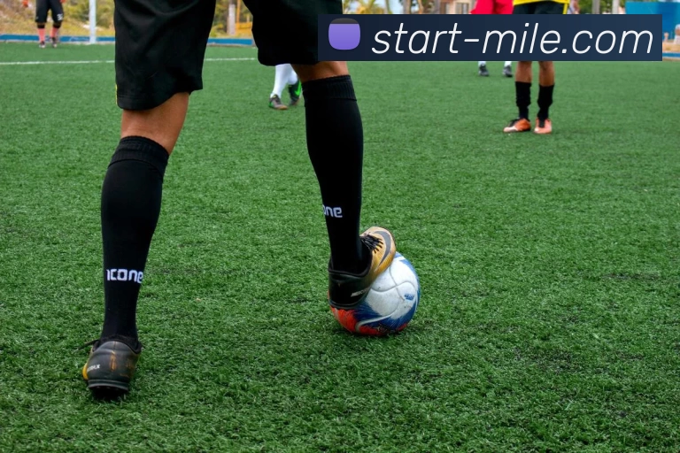 米乐体育服务体系